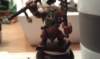 blackorc_champ11_small.jpg