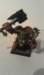 blackorc_champ19_small.jpg