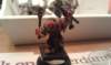 blackorc_champ7_small.jpg