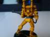 yellow_guardian4_small.jpg