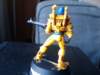 yellow_guardian_small.jpg