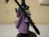 farseer12_small.jpg