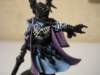 farseer15_small.jpg