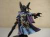 farseer23_small.jpg