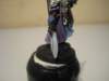 farseer26_small.jpg