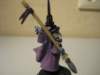 farseer29_small.jpg